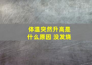 体温突然升高是什么原因 没发烧